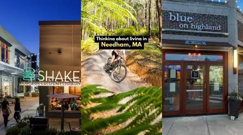 Needham lifestyle collage with a cyclist on a wooded trail and two storefronts.