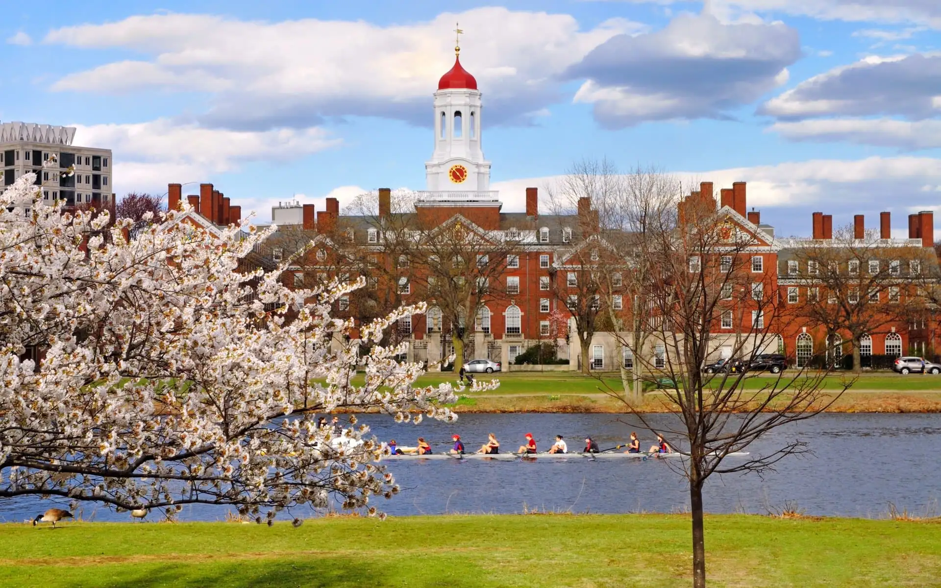 Charles River and Harvard boathouses