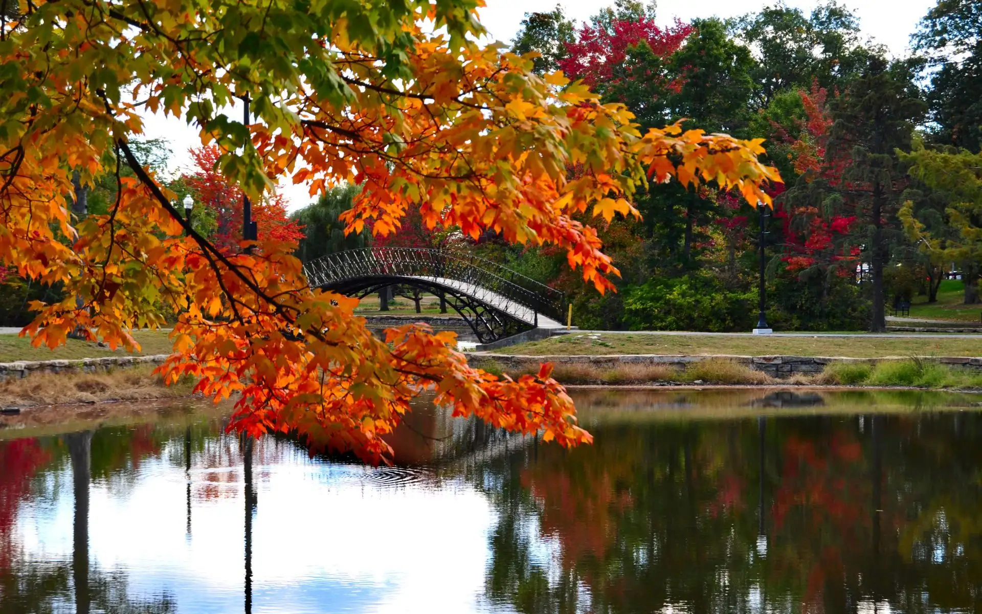 Fall foliage beside a footbridge in Newton, MA