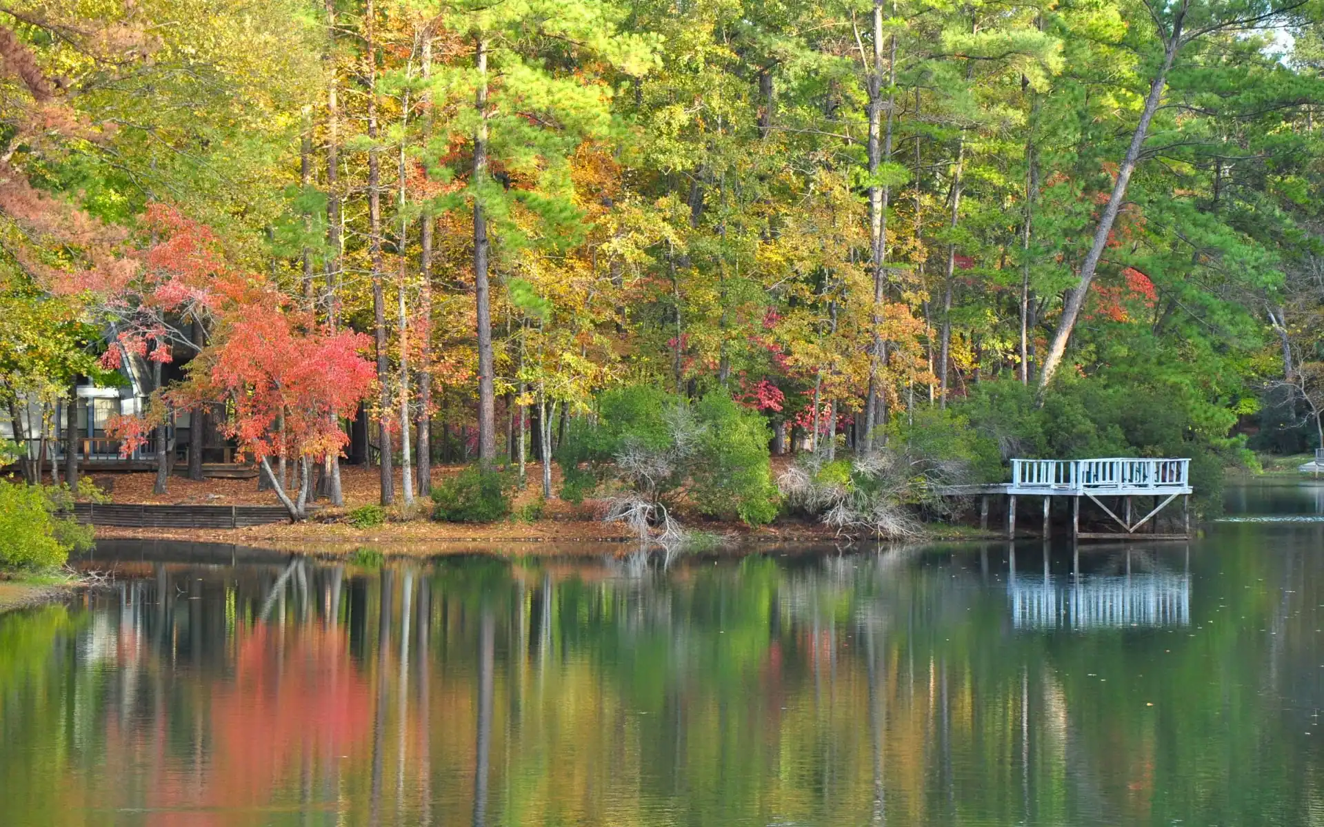 Autumn foliage reflected in a pond in Wellesley, MA